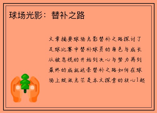 球场光影：替补之路