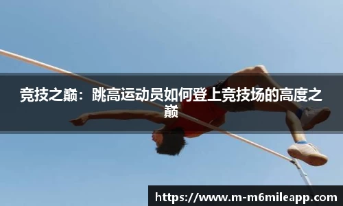 m6米乐体育